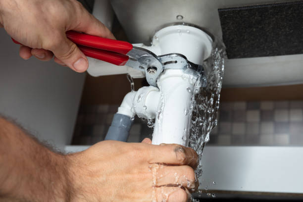 Best Fire Damage Restoration  in Nolensville, TN
