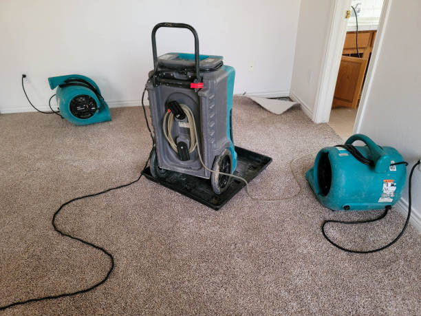 Best Emergency water damage restoration  in Nolensville, TN