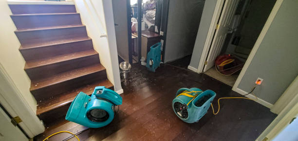 Best Water damage restoration near me  in Nolensville, TN