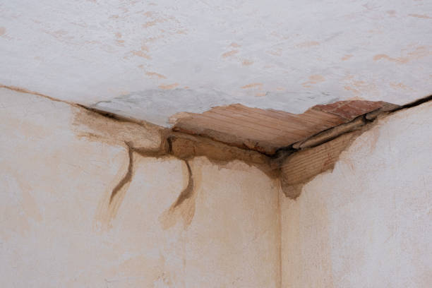 Best Flood restoration services  in Nolensville, TN