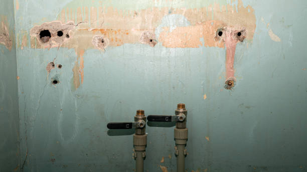 Best Basement water damage restoration  in Nolensville, TN