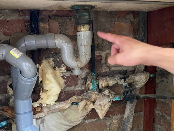 Best Water damage restoration near me  in Nolensville, TN